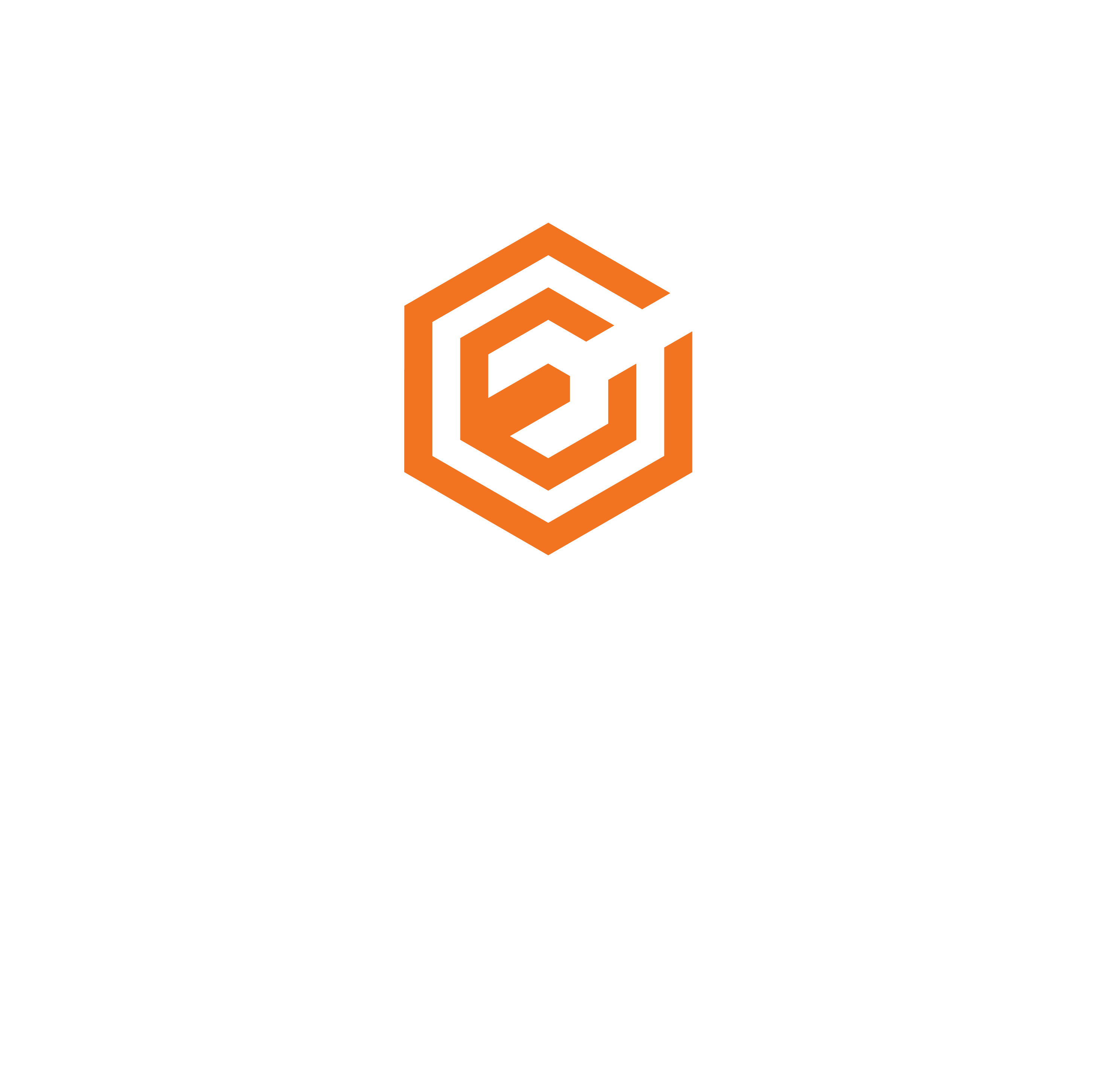 Evolution International S.r.l.